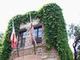 Casa di Cristoforo Colombo