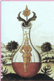 Amarcord ONLUS Alcologico