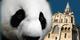 WWF
