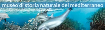 Museo di Storia Naturale del Mediterraneo