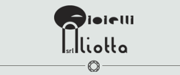 Logo Gioielleria Aliotta | Messina