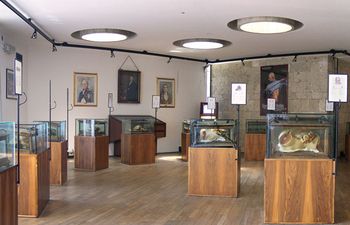 Museo delle cere anatomiche Clemente Susini a Cagliari