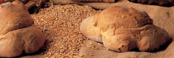 Pane di Matera