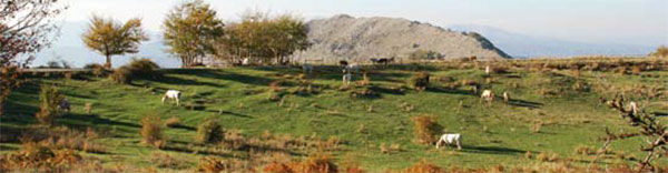 Parco Nazionale del Pollino